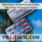 Männliche Seidenraupenmotte, Die Orale Flüssigkeit Nährt 36
